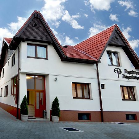 Pensiunea Transilvania Сибиу Екстериор снимка